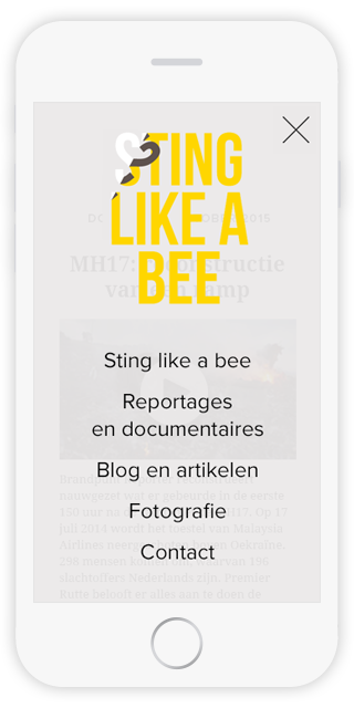 CAPAZ-Stinglikeabee-mobile-2