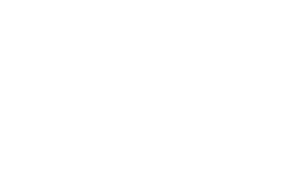 logo-nza